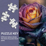 Regenbogen Rose Jigsaw Rätsel 1000 Stücke