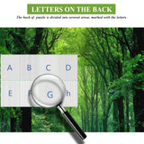 Rompecabezas de Bosque Tranquilo de 1000 Piezas