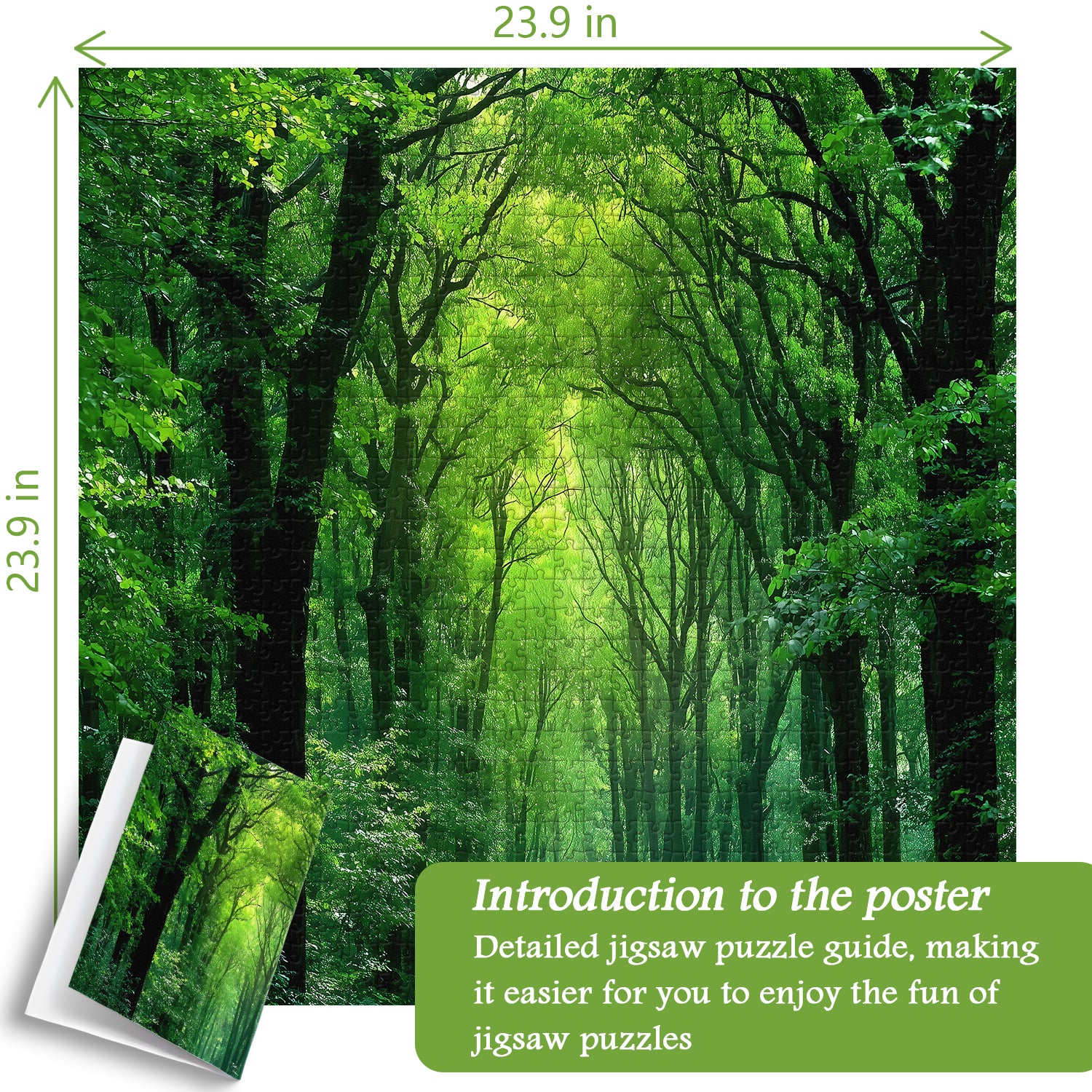 Rompecabezas de Bosque Tranquilo de 1000 Piezas