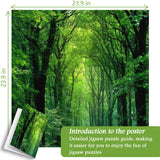 Rompecabezas de Bosque Tranquilo de 1000 Piezas