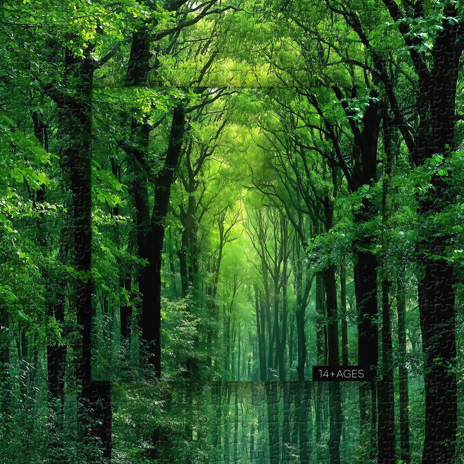 Rompecabezas de Bosque Tranquilo de 1000 Piezas