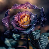 Regenbogen Rose Jigsaw Rätsel 1000 Stücke