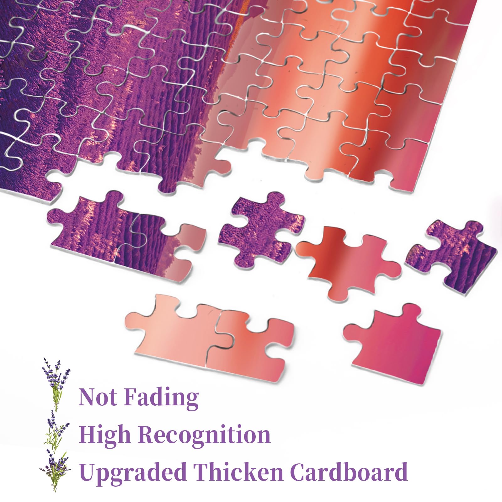 Lila Lavendel -Puzzle 1000 Stücke