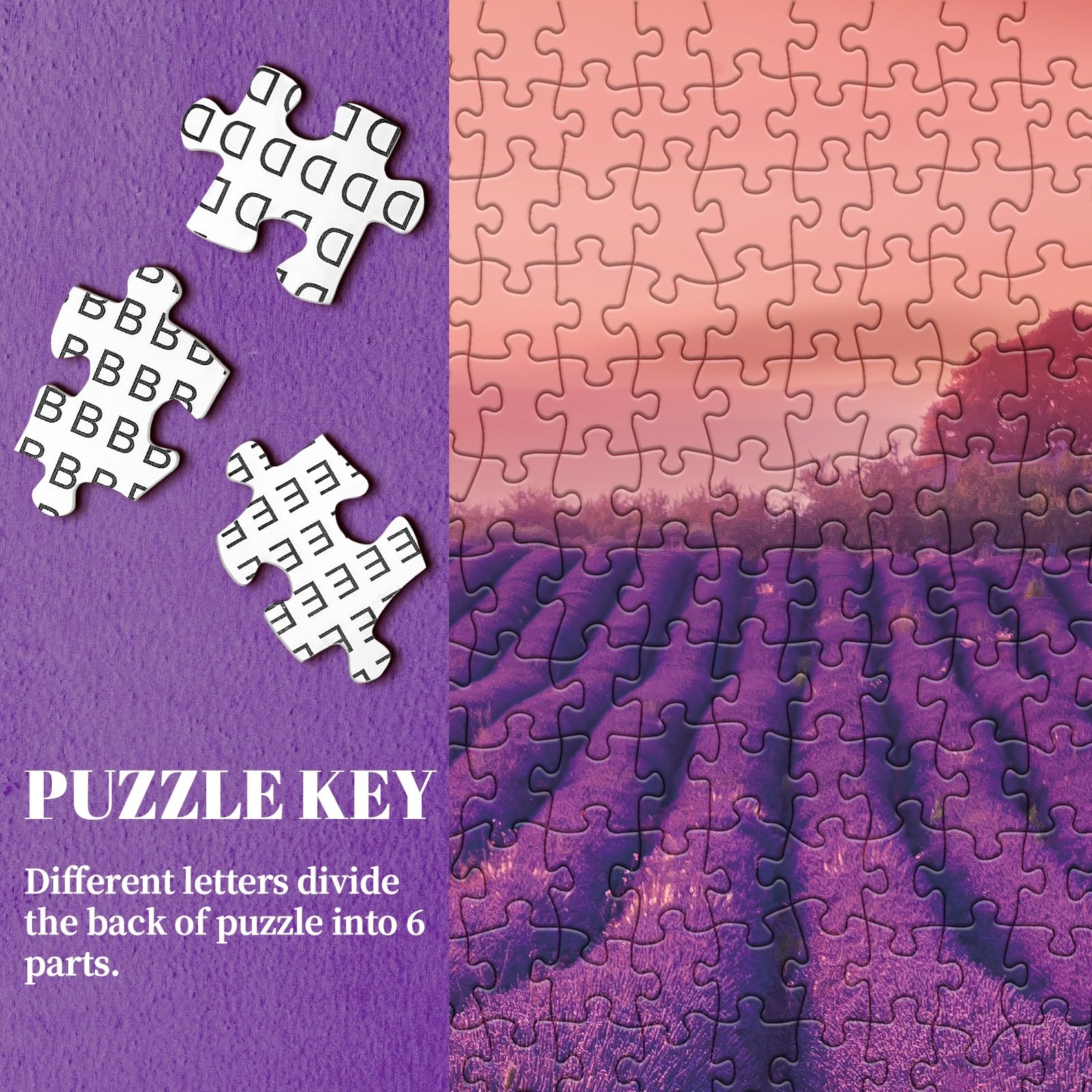 Lila Lavendel -Puzzle 1000 Stücke