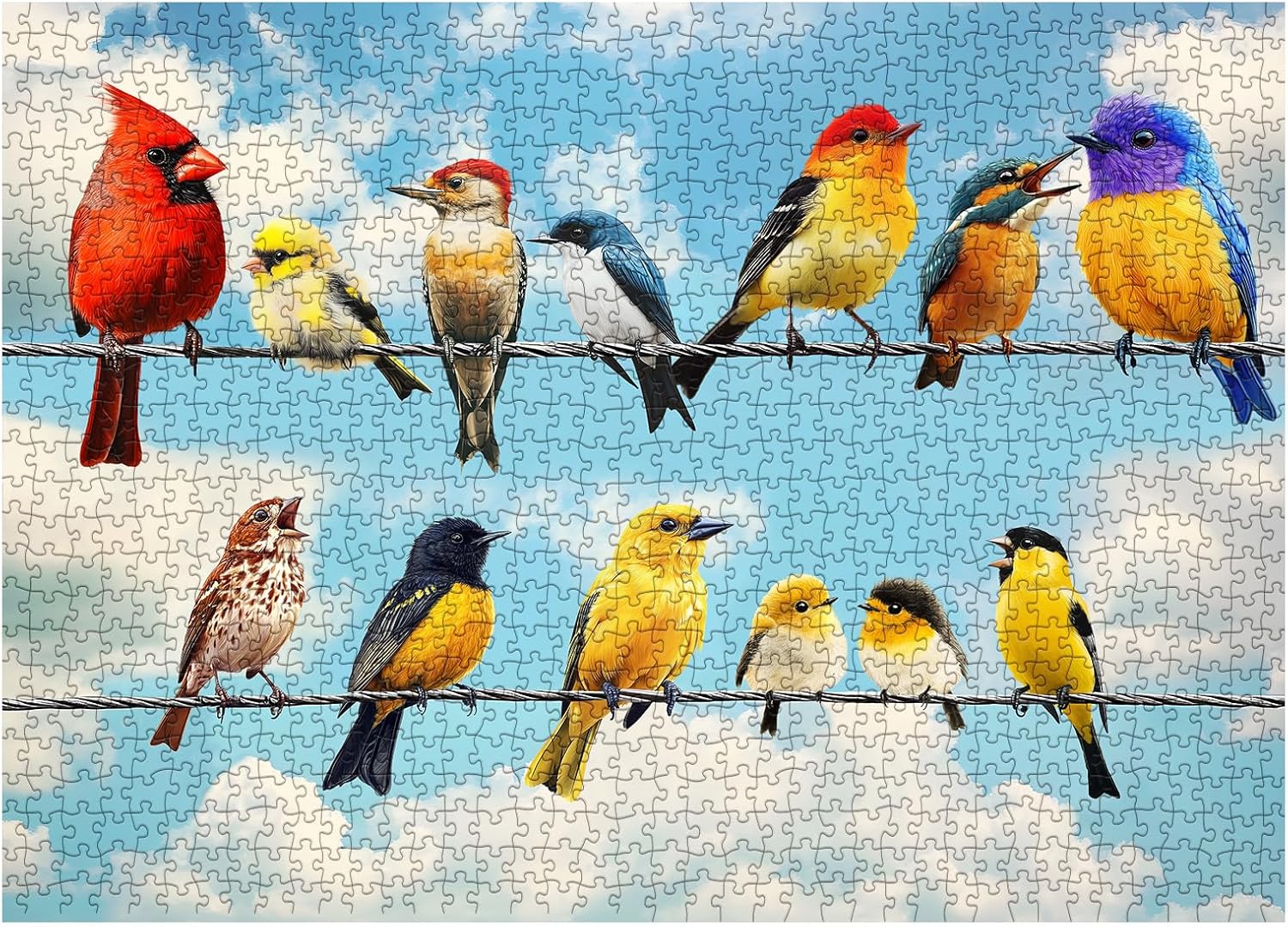 Birds of Joy Jigsaw Puzzle 1000 Pieces