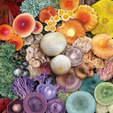 Pilzpilzpuzzle 1000 Stücke