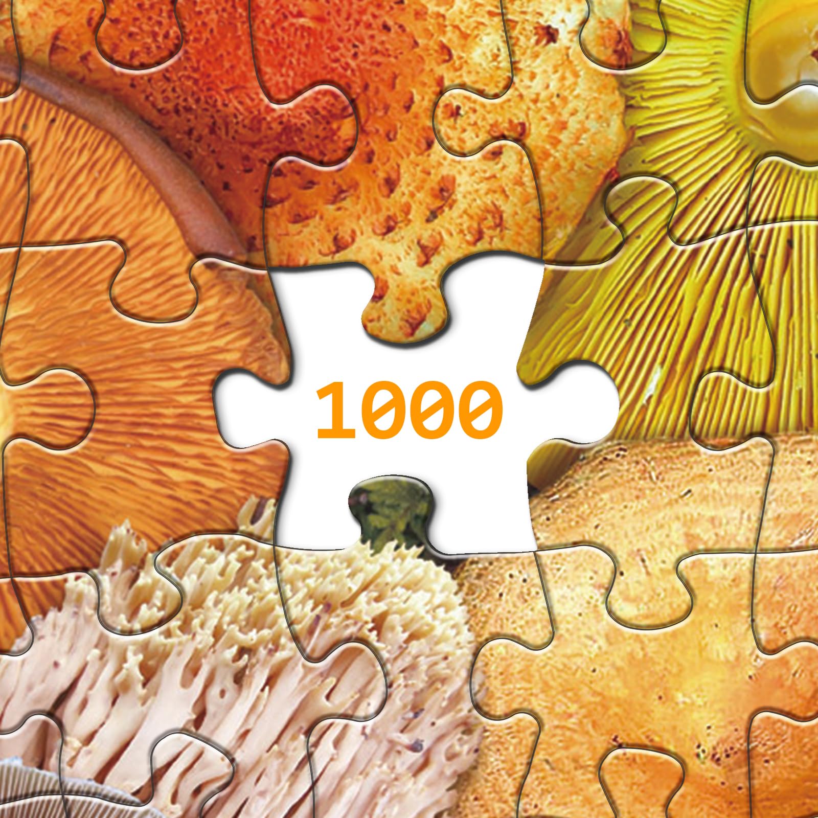 Pilzpilzpuzzle 1000 Stücke