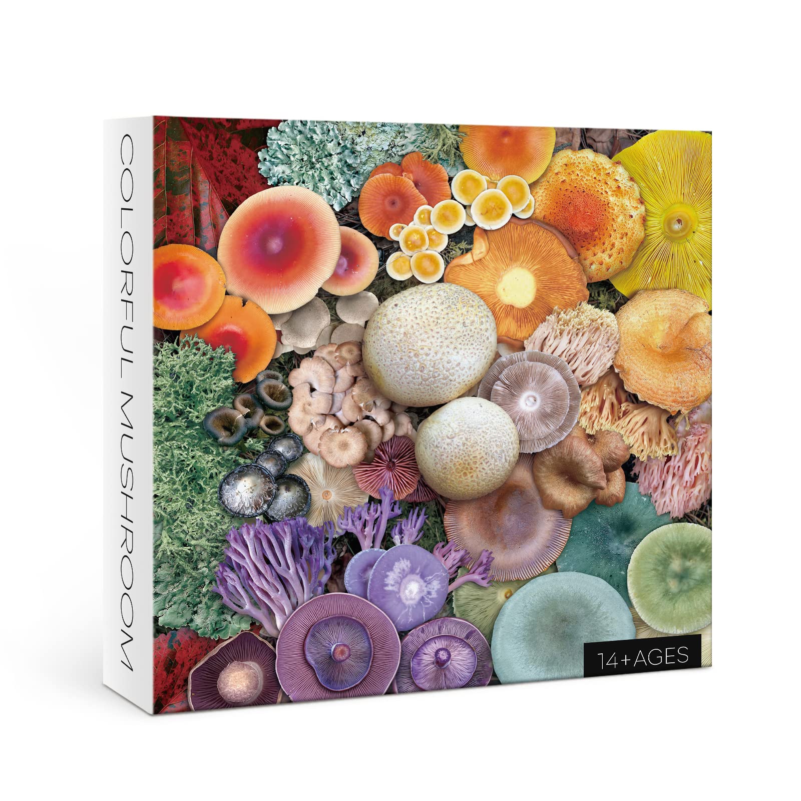 Pilzpilzpuzzle 1000 Stücke