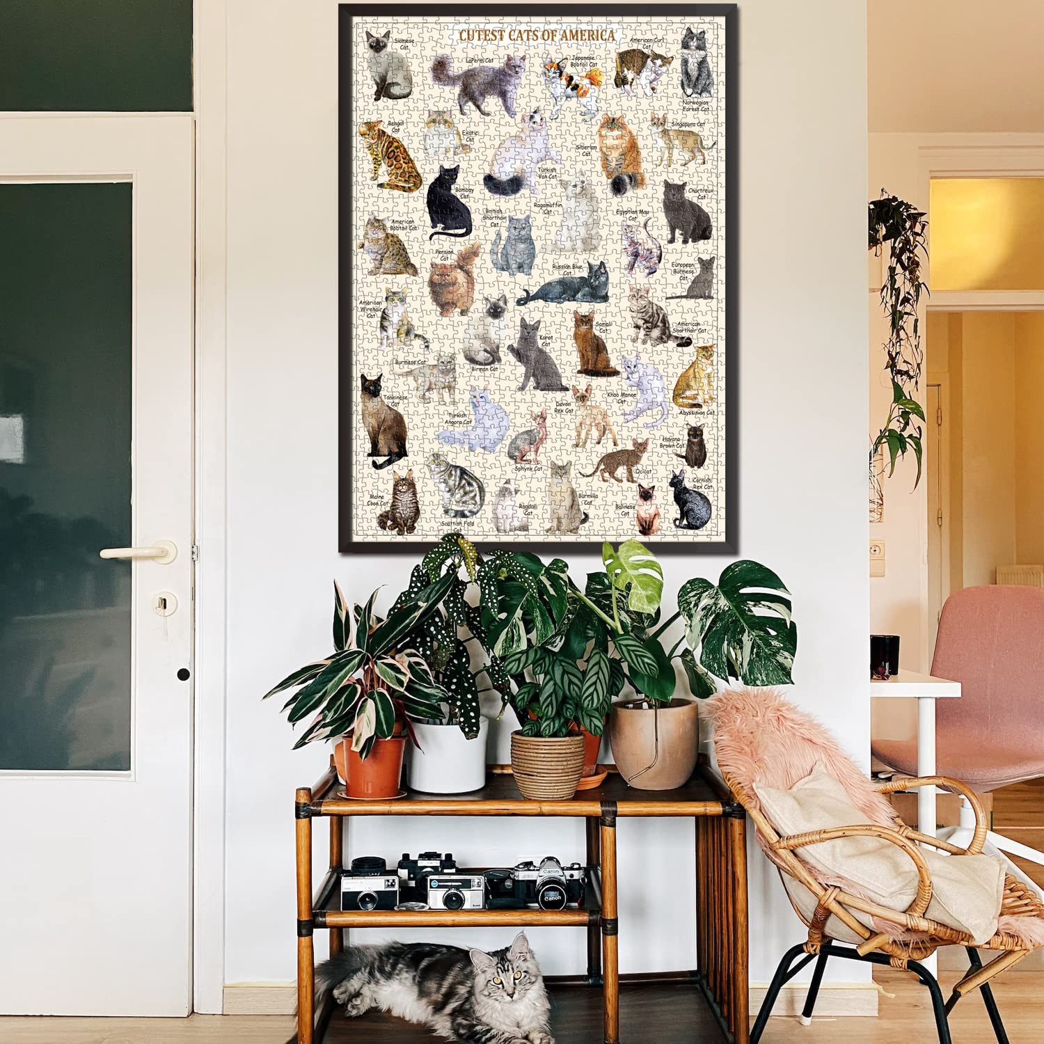 Das süßeste Katzenpuzzle 1000 Stücke