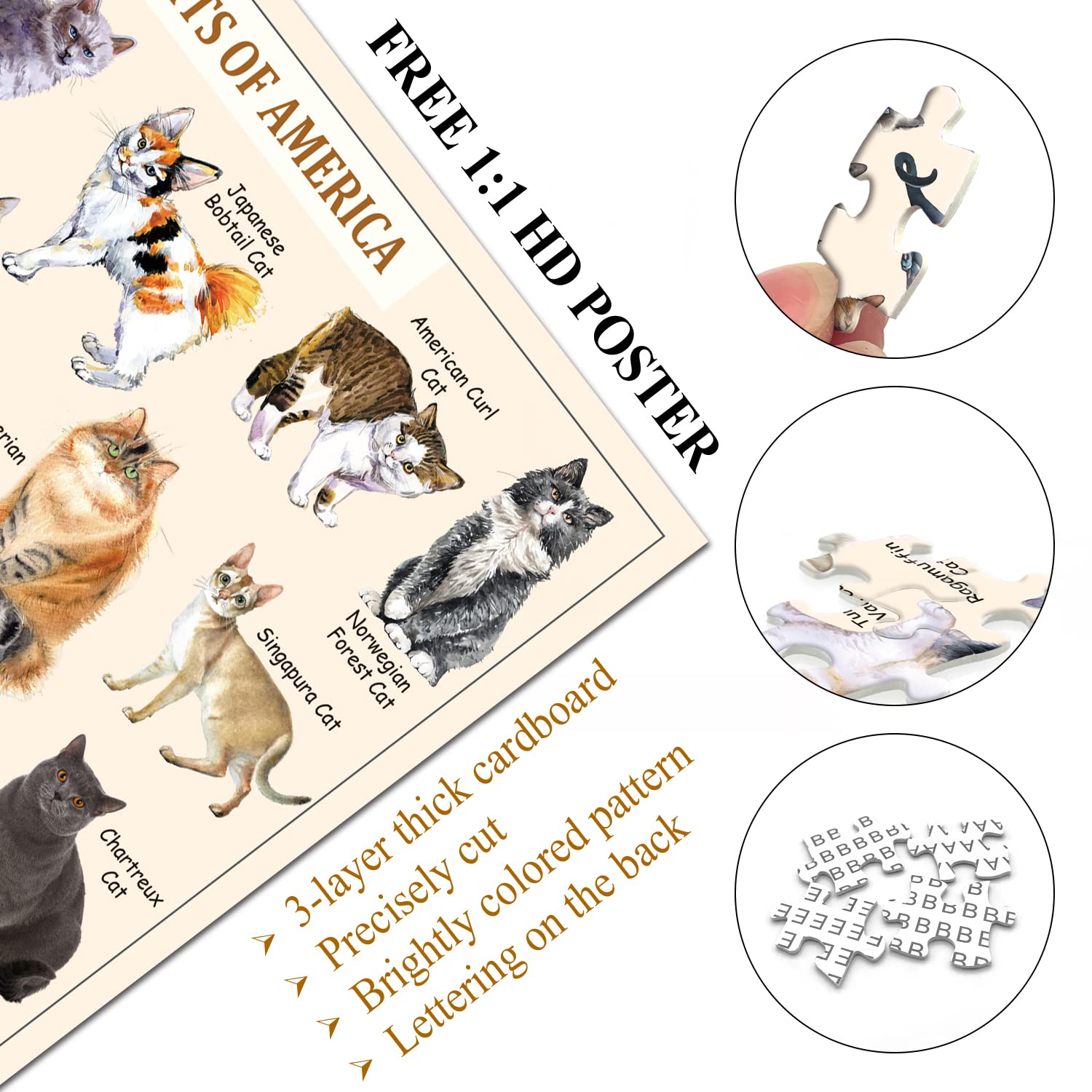 Das süßeste Katzenpuzzle 1000 Stücke