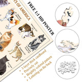 Das süßeste Katzenpuzzle 1000 Stücke