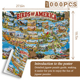 Oiseaux d'Amérique Puzzle 1000 pièces