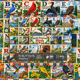 Vögel von Nordamerika Puzzle 1000 Stück