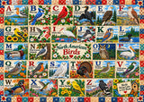 Vögel von Nordamerika Puzzle 1000 Stück