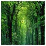 Friedlicher Wald Puzzle 1000 Teile