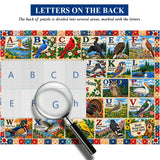 Vögel von Nordamerika Puzzle 1000 Stück