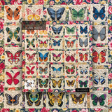 Butterfly Specimens Jigsaw Puzzle 1000 Pieces