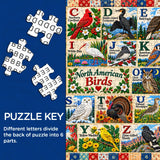 Vögel von Nordamerika Puzzle 1000 Stück