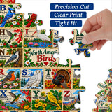 Vögel von Nordamerika Puzzle 1000 Stück
