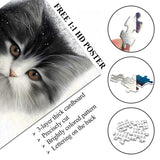 Cat Snow Mist Jigsaw Puzzle 1000 Pieces