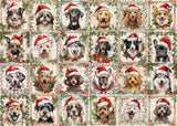 Christmas Puppy Jigsaw Puzzles 1000 Pieces