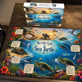 Meeresschildkröten-Lebensreise-Puzzlespiel 1000 Teile