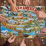 Oiseaux d'Amérique Puzzle 1000 pièces