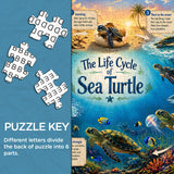 Meeresschildkröten-Lebensreise-Puzzlespiel 1000 Teile