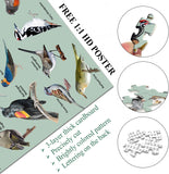 Backyard Birds Jigsaw Puzzle 1000 Pieces