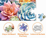 Dreamy Succulents Jigsaw Puzzle 1000 Pieces