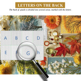 Letters of the Seasons Jigsaw Puzzle 1000 Pieces