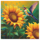 Sunflower Hummingbird Jigsaw Puzzle 1000 Pieces