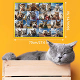 Meow Global Selfie Jigsaw Puzzle 1000 Pieces