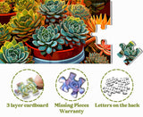 Sunset Succulents Jigsaw Puzzle 1000 Pieces